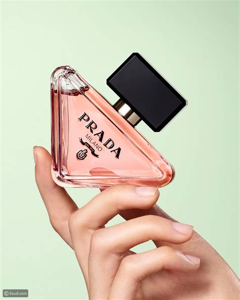 prada paradoxe perfume release date|prada paradoxe echo.